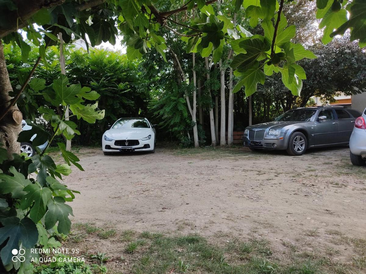 Apartment Albert Parking Prive Gratuit Limoux Exterior photo