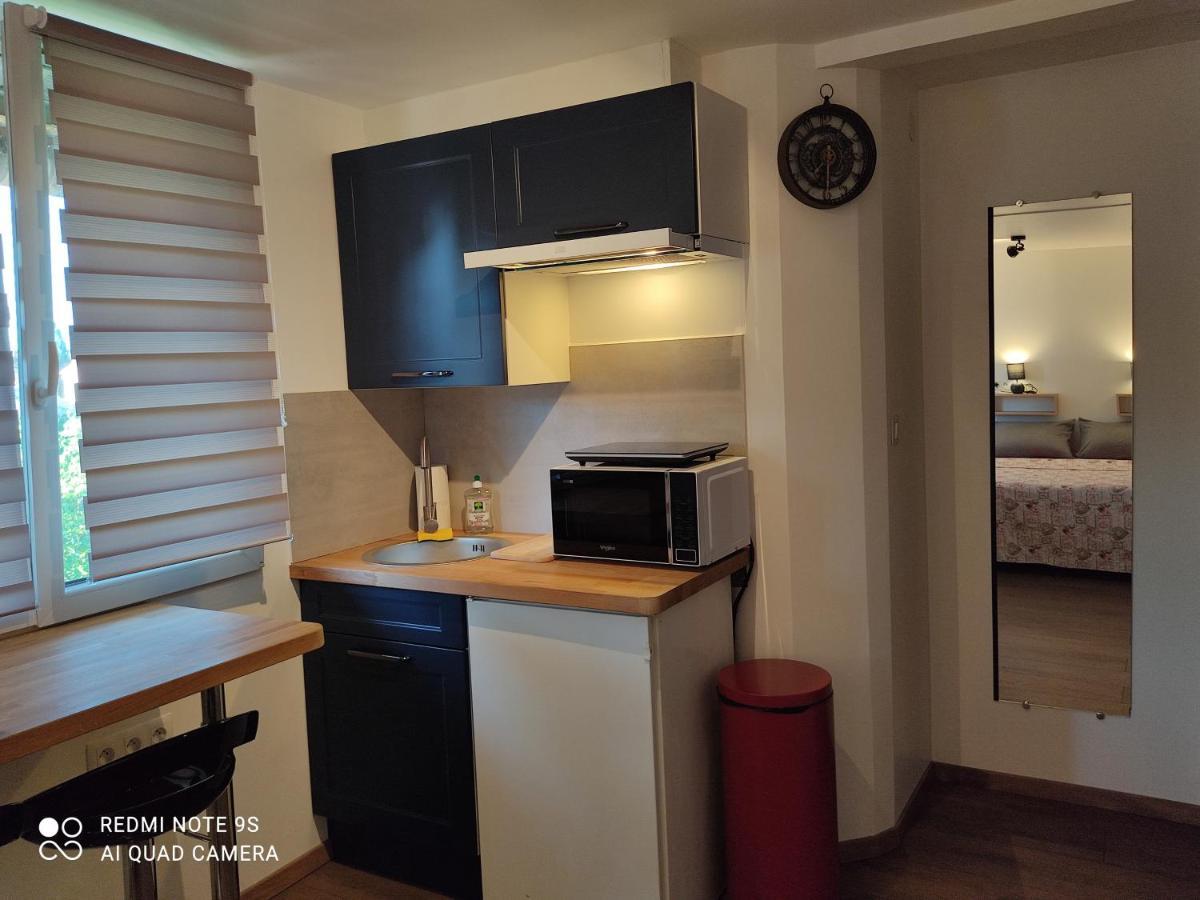 Apartment Albert Parking Prive Gratuit Limoux Exterior photo