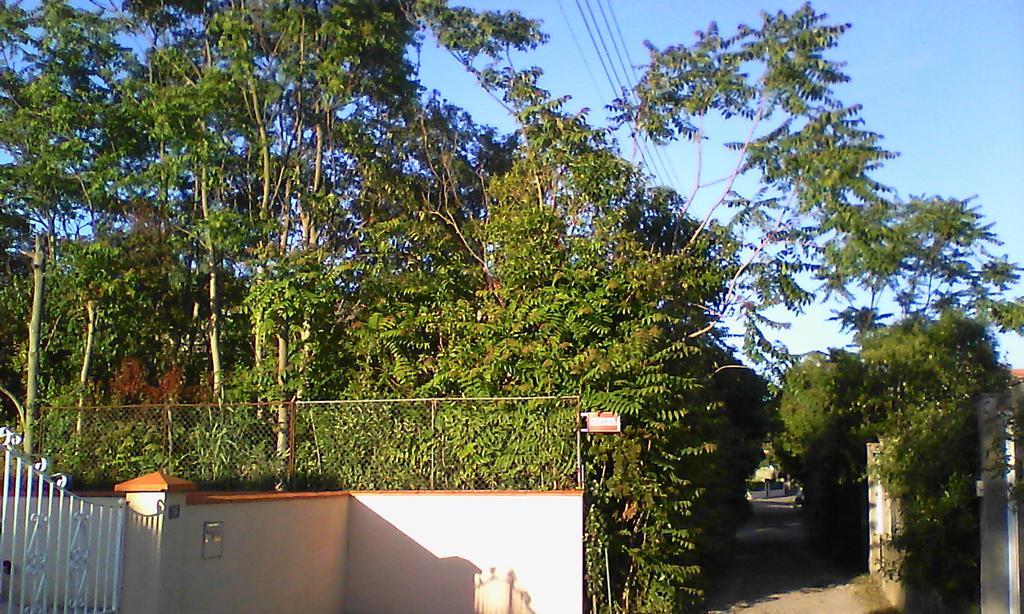 Apartment Albert Parking Prive Gratuit Limoux Exterior photo