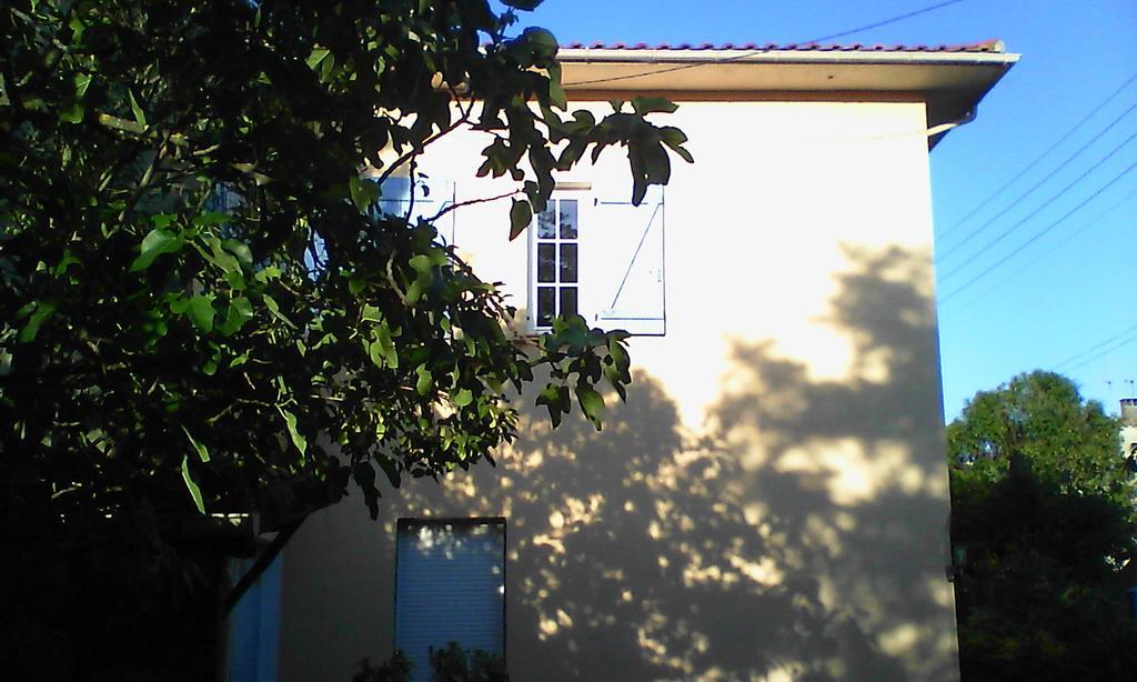 Apartment Albert Parking Prive Gratuit Limoux Exterior photo