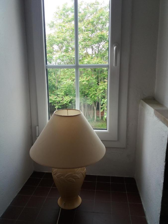 Apartment Albert Parking Prive Gratuit Limoux Exterior photo