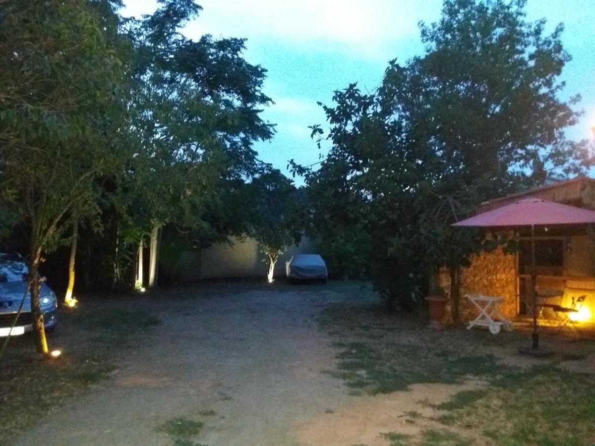 Apartment Albert Parking Prive Gratuit Limoux Exterior photo